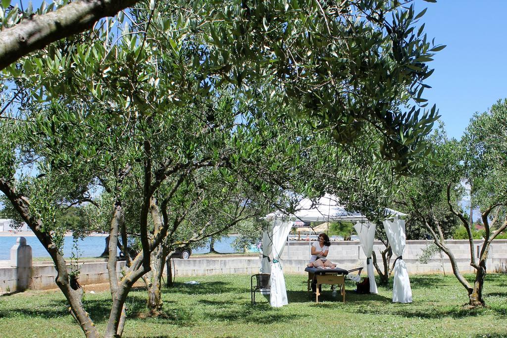 Apartman House Zaton Nin